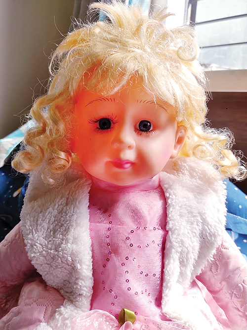 ডলির কদর -মাহমুদা আখতার